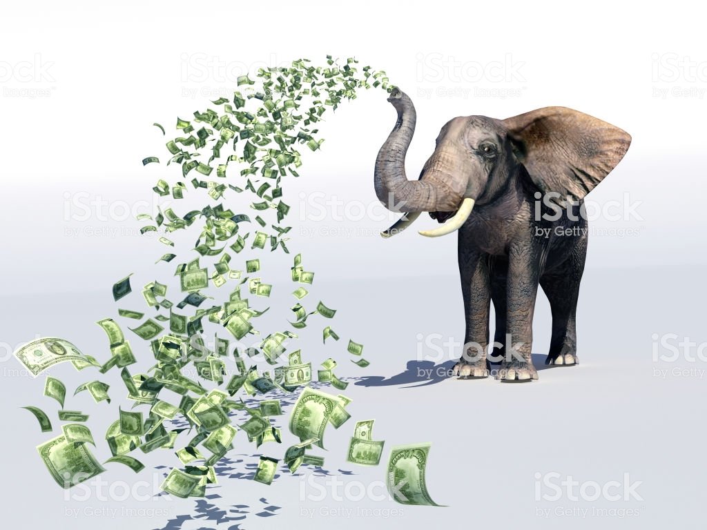 Elephant and dollar bills on white background. ,3D render.